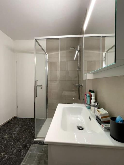 Five Stars Comfort Apartment Lugano Near The Lake מראה חיצוני תמונה