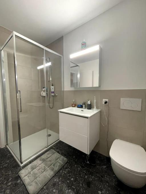 Five Stars Comfort Apartment Lugano Near The Lake מראה חיצוני תמונה